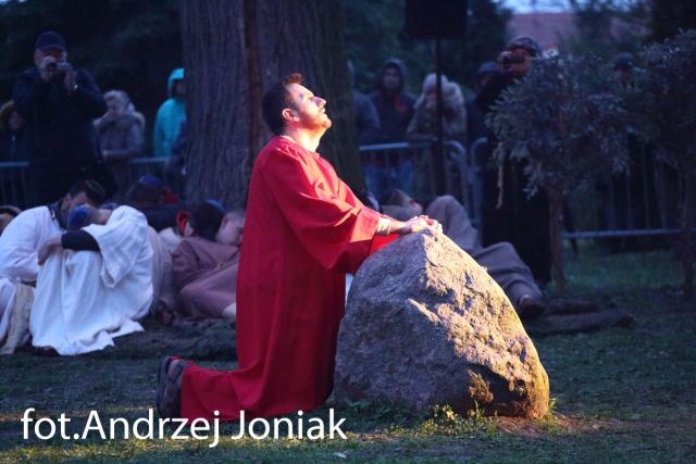 Jasienica 201933